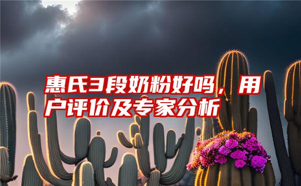 惠氏3段奶粉好吗，用户评价及专家分析