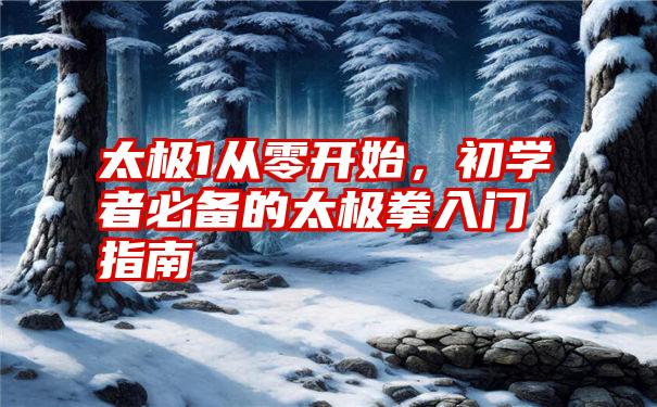 太极1从零开始，初学者必备的太极拳入门指南