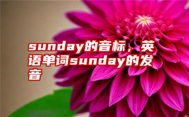 sunday的音标，英语单词sunday的发音