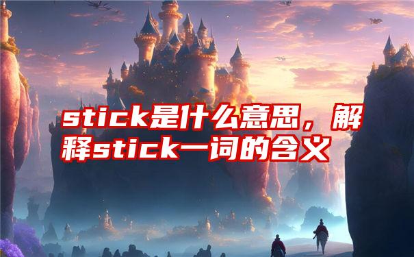 stick是什么意思，解释stick一词的含义