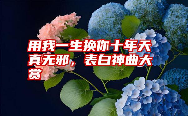 用我一生换你十年天真无邪，表白神曲大赏