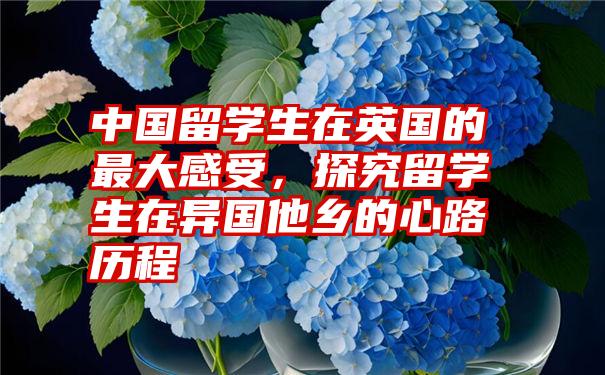 中国留学生在英国的最大感受,探究留学生在异国他乡的心路历程