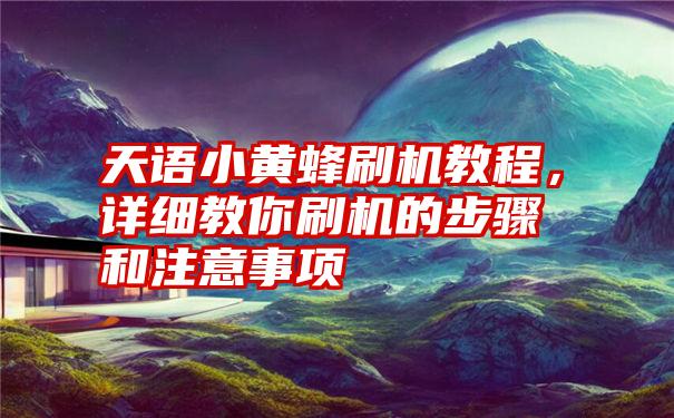 天语小黄蜂刷机教程,详细教你刷机的步骤和注意事项