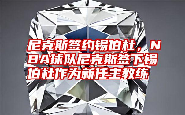 尼克斯签约锡伯杜,NBA球队尼克斯签下锡伯杜作为新任主教练