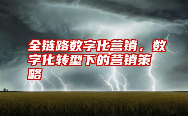 全链路数字化营销，数字化转型下的营销策略