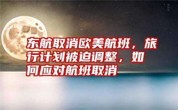 东航取消欧美航班,旅行计划被迫调整,如何应对航班取消