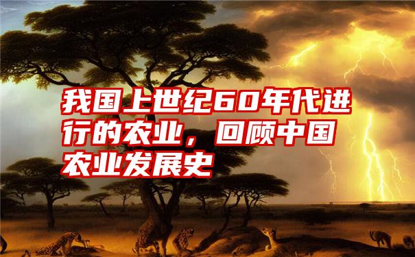 我国上世纪60年代进行的农业，回顾中国农业发展史