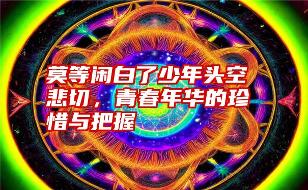 莫等闲白了少年头空悲切，青春年华的珍惜与把握