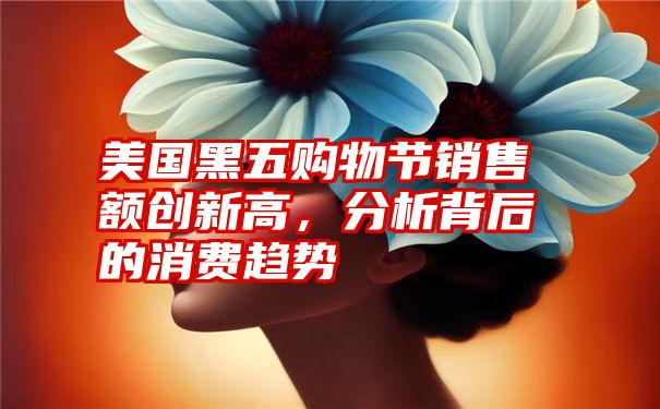 美国黑五购物节销售额创新高，分析背后的消费趋势