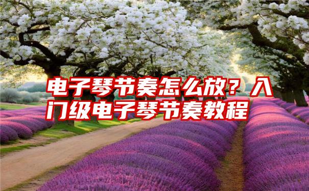 电子琴节奏怎么放？入门级电子琴节奏教程