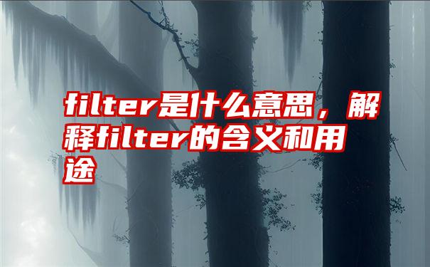 filter是什么意思，解释filter的含义和用途