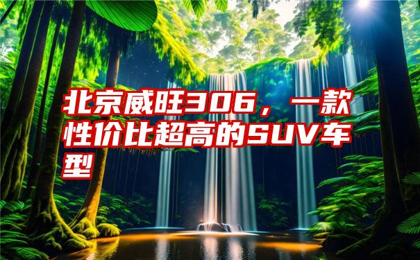 北京威旺306，一款性价比超高的SUV车型