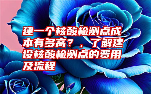 建一个核酸检测点成本有多高？，了解建设核酸检测点的费用及流程