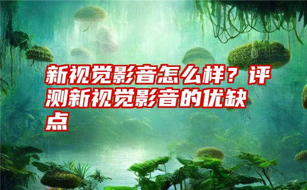 新视觉影音怎么样？评测新视觉影音的优缺点