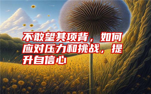 不敢望其项背，如何应对压力和挑战，提升自信心