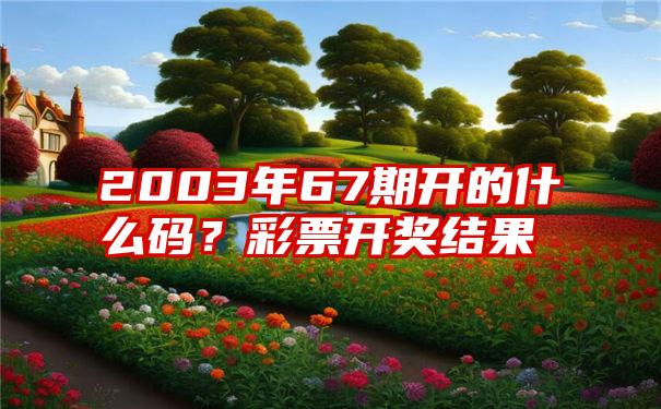 2003年67期开的什么码？彩票开奖结果