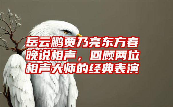 岳云鹏贾乃亮东方春晚说相声,回顾两位相声大师的经典表演