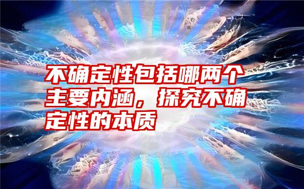 不确定性包括哪两个主要内涵,探究不确定性的本质