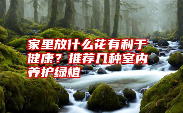 家里放什么花有利于健康？推荐几种室内养护绿植