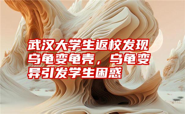 武汉大学生返校发现乌龟变龟壳，乌龟变异引发学生困惑