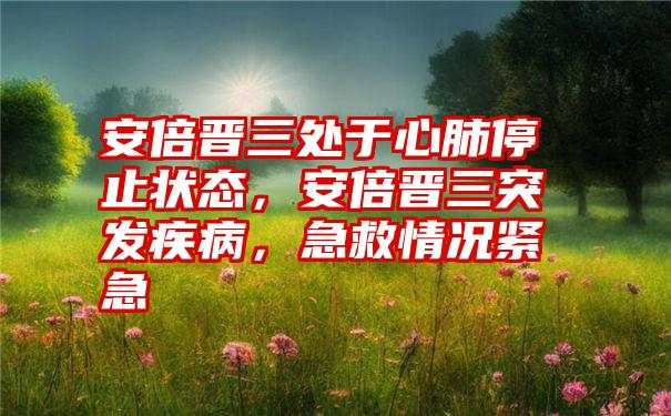 安倍晋三处于心肺停止状态，安倍晋三突发疾病，急救情况紧急