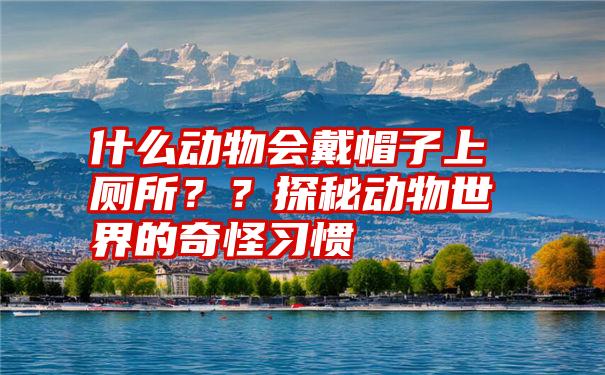 什么动物会戴帽子上厕所？？探秘动物世界的奇怪习惯