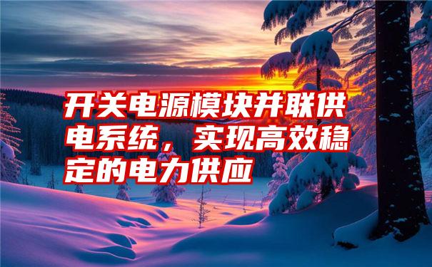 开关电源模块并联供电系统，实现高效稳定的电力供应