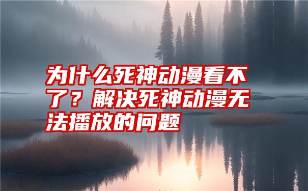 为什么死神动漫看不了？解决死神动漫无法播放的问题