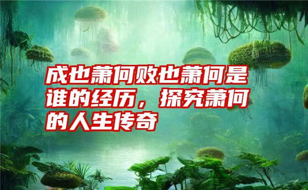 成也萧何败也萧何是谁的经历，探究萧何的人生传奇