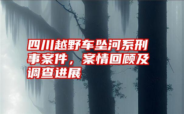 四川越野车坠河系刑事案件，案情回顾及调查进展