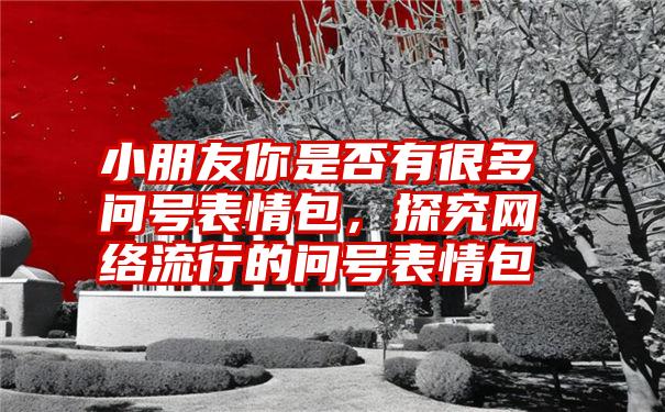 小朋友你是否有很多问号表情包，探究网络流行的问号表情包