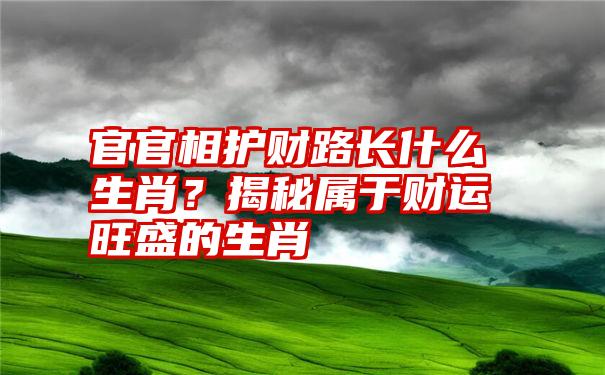 官官相护财路长什么生肖？揭秘属于财运旺盛的生肖