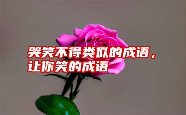 哭笑不得类似的成语，让你笑的成语