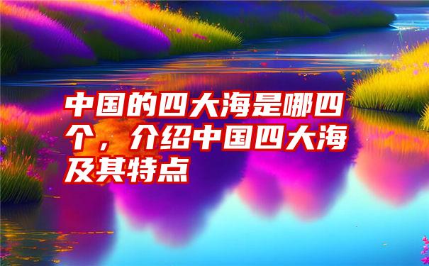 中国的四大海是哪四个，介绍中国四大海及其特点