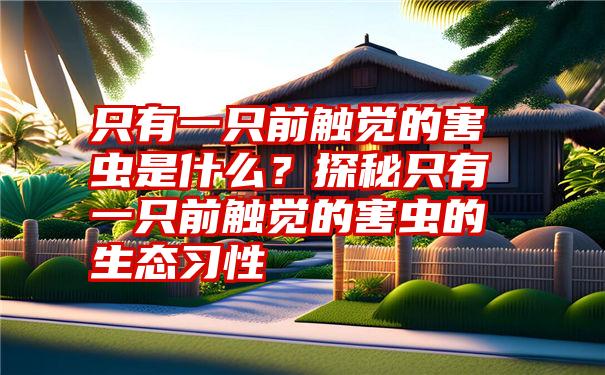 只有一只前触觉的害虫是什么？探秘只有一只前触觉的害虫的生态习性