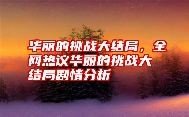 华丽的挑战大结局，全网热议华丽的挑战大结局剧情分析