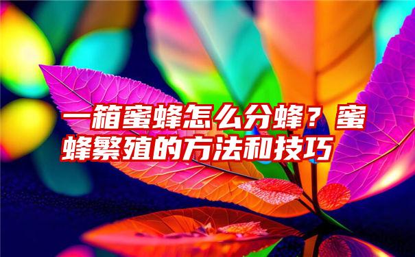 一箱蜜蜂怎么分蜂？蜜蜂繁殖的方法和技巧