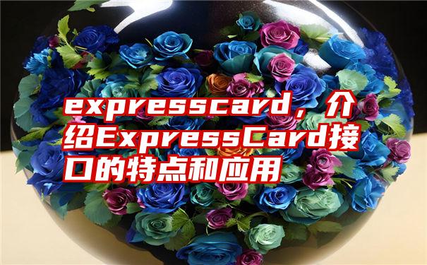 expresscard，介绍ExpressCard接口的特点和应用