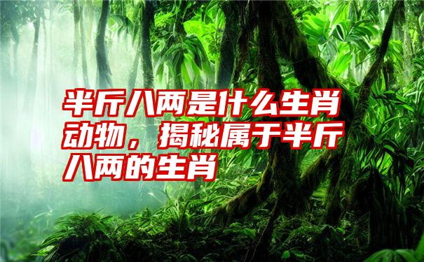 半斤八两是什么生肖动物，揭秘属于半斤八两的生肖