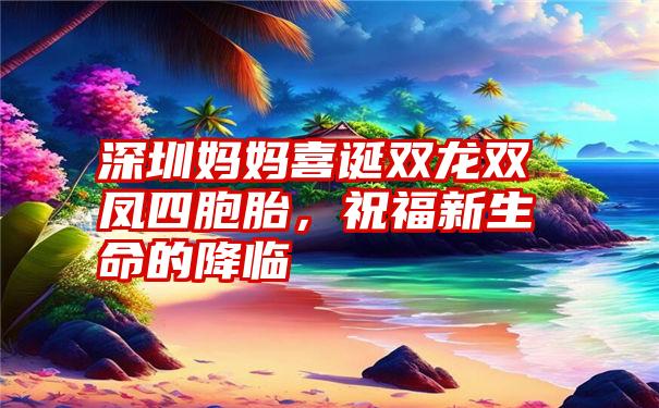 深圳妈妈喜诞双龙双凤四胞胎，祝福新生命的降临