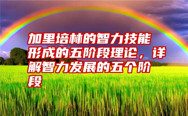加里培林的智力技能形成的五阶段理论，详解智力发展的五个阶段