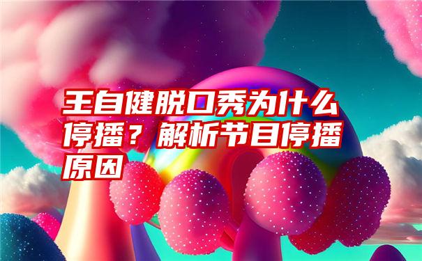 王自健脱口秀为什么停播？解析节目停播原因