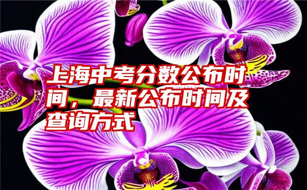 上海中考分数公布时间，最新公布时间及查询方式