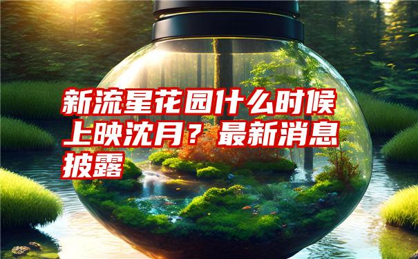 新流星花园什么时候上映沈月？最新消息披露