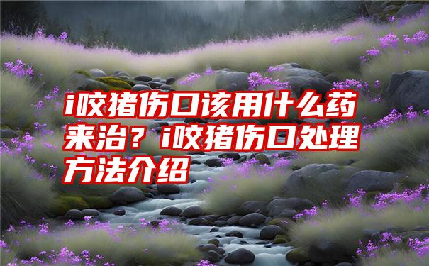 i咬猪伤口该用什么药来治？i咬猪伤口处理方法介绍