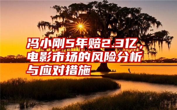 冯小刚5年赔2.3亿，电影市场的风险分析与应对措施