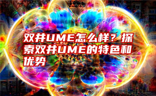 双井UME怎么样？探索双井UME的特色和优势