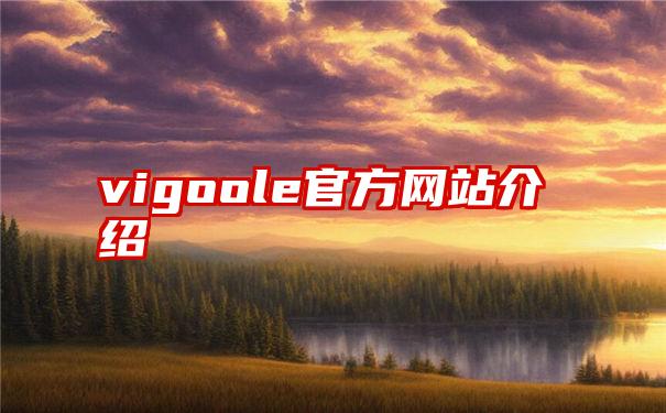 vigoole官方网站介绍