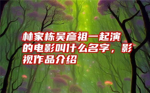 林家栋吴彦祖一起演的电影叫什么名字，影视作品介绍