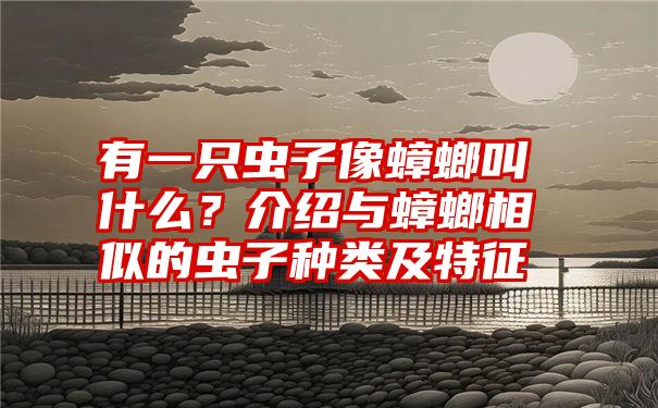 有一只虫子像蟑螂叫什么？介绍与蟑螂相似的虫子种类及特征